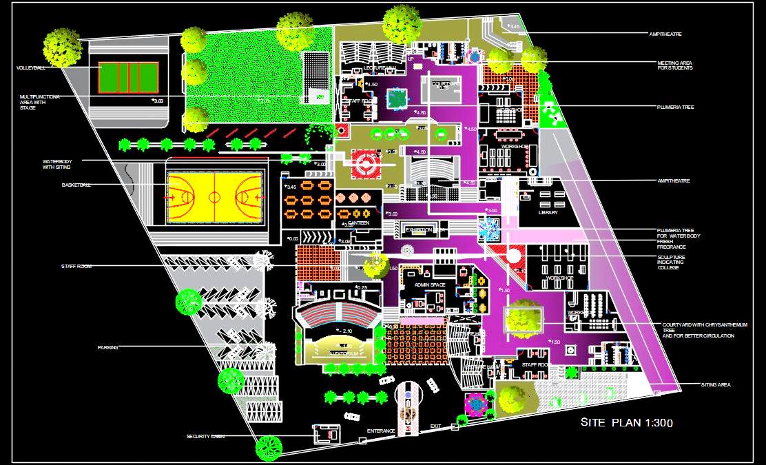 An Institute of Design- Campus Plan in Autocad DWG